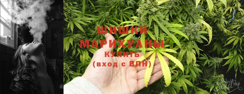 Бошки марихуана LSD WEED  блэк спрут tor  Инта 